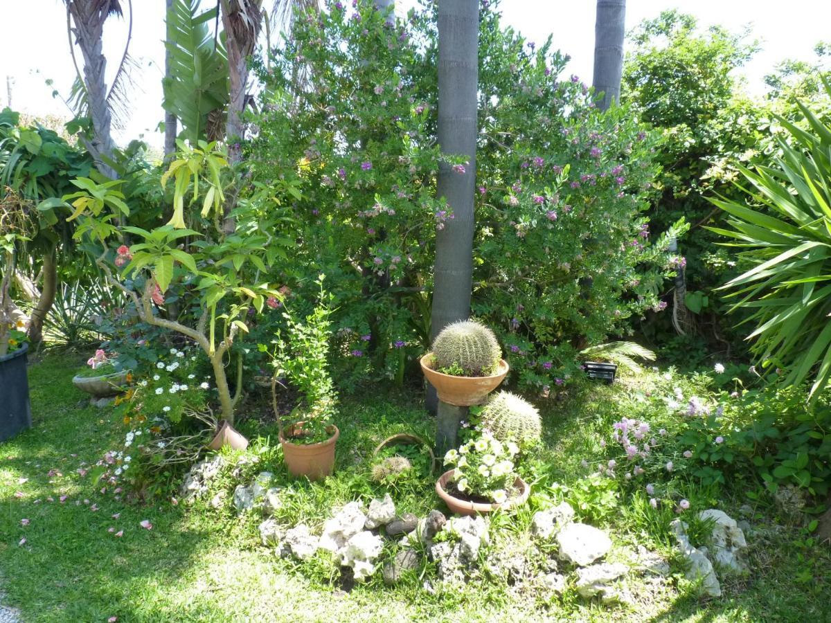Holidaysora Taormina - Il Giardino Di Graziella Екстер'єр фото